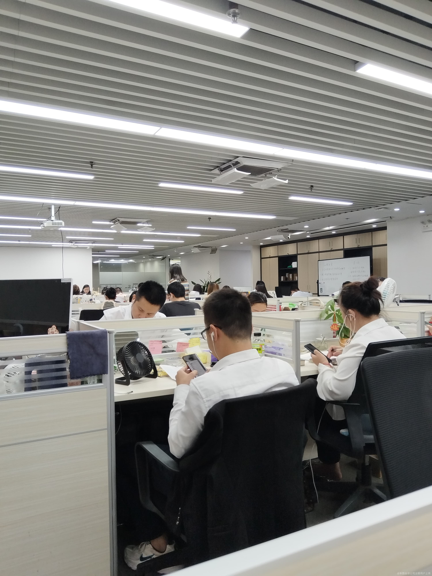 融资顾问风险评估(融资顾问风险评估报告)东方市