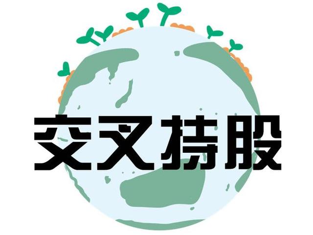 交叉持股安排设计(交叉持股怎么计算持股比例)东方市