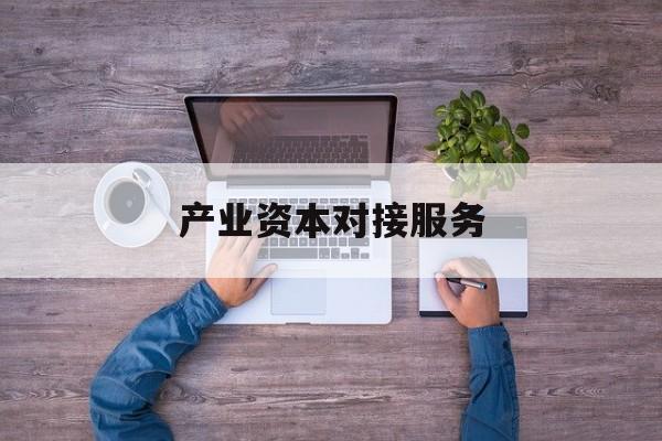 产业资本对接服务(产业资本对接服务包括哪些)东方市